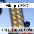 Filagra FXT cialis1